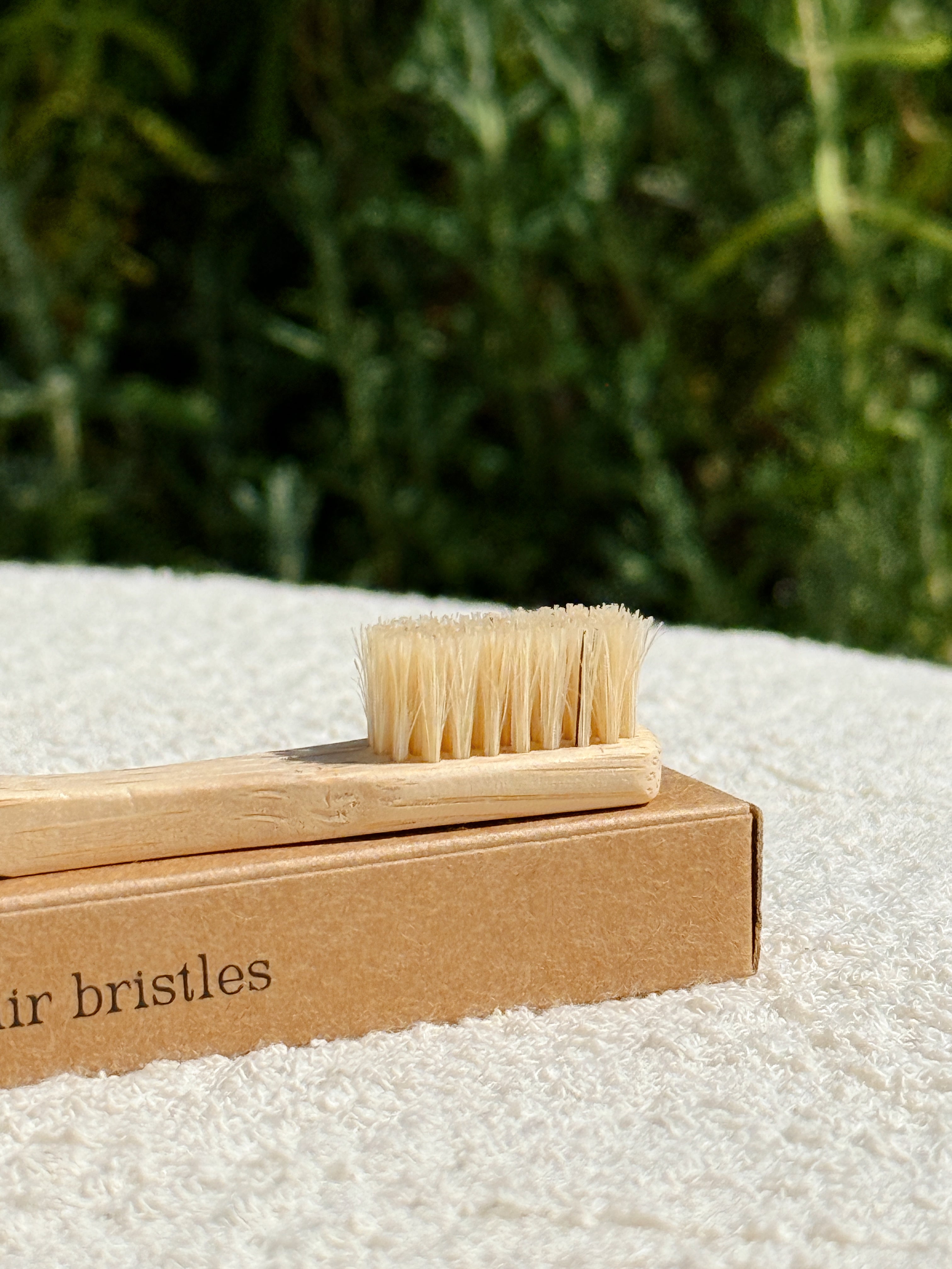 Bamboo Toothbrush with Boar's Hair Bristles